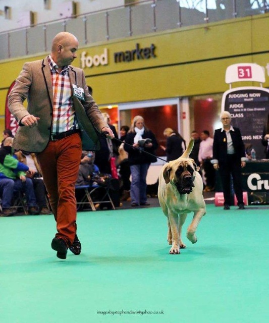 Mona Lisa at Crufts.jpg